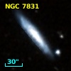 NGC  7831