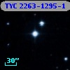 TYC 2263-1295-1