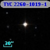 TYC 2260-1019-1