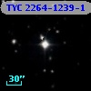 TYC 2264-1239-1