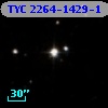 TYC 2264-1429-1