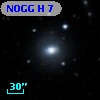 NOGG H    7