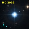 HD   2019