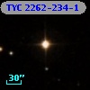 TYC 2262-234-1