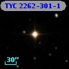 TYC 2262-301-1