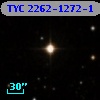TYC 2262-1272-1