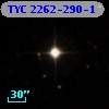 TYC 2262-290-1