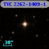TYC 2262-1409-1