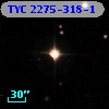 TYC 2275-318-1