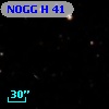 NOGG H   41