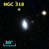 NGC   318