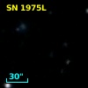 SN 1975L