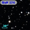 Wolf  174