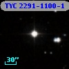 TYC 2291-1100-1