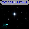 TYC 2291-1174-1