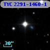 TYC 2291-1460-1