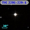 TYC 2295-229-1