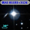 IRAS 01193+3126