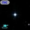 TYC 1754-1444-1