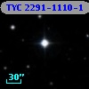TYC 2291-1110-1