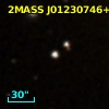 2MASS J01230746+3148296