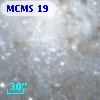 MCMS 19