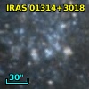 IRAS 01314+3018
