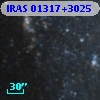 IRAS 01317+3025