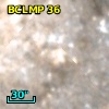 BCLMP   36