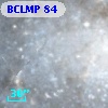 BCLMP   84