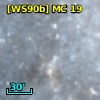 [WS90b] MC 19