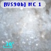 [WS90b] MC  1