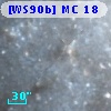 [WS90b] MC 18