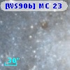 [WS90b] MC 23