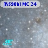[WS90b] MC 24