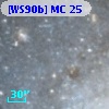 [WS90b] MC 25