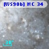 [WS90b] MC 34