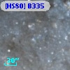 [HS80] B335