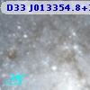 D33 J013354.8+304106.5