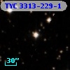 TYC 3313-229-1