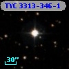 TYC 3313-346-1