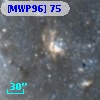 [MWP96]  75