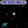 TYC 3313-491-1