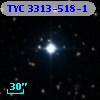 TYC 3313-518-1