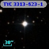 TYC 3313-823-1