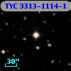 TYC 3313-1114-1