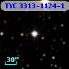 TYC 3313-1124-1