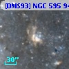 [DMS93] NGC 595  94