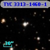 TYC 3313-1460-1