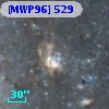 [MWP96] 529